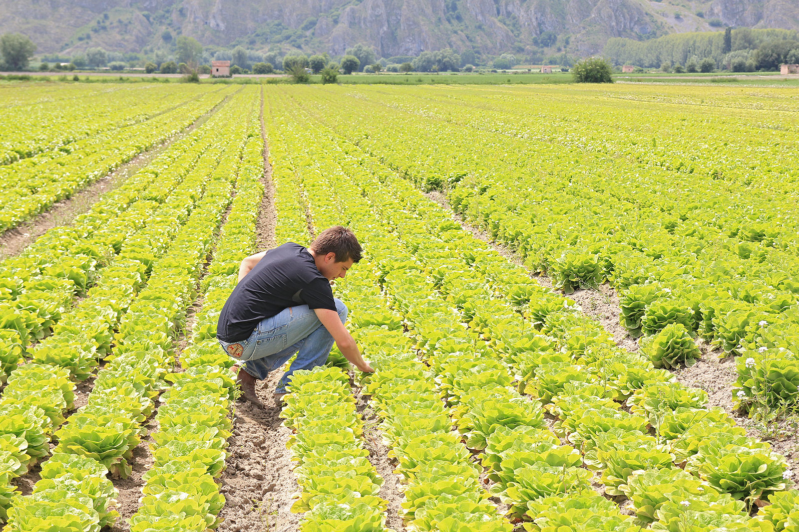 agricoltori